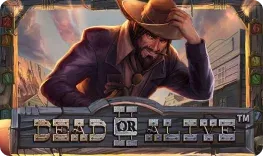 Casino Sanremo offre il gioco online Dead or Alive II